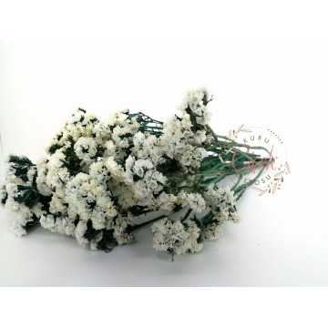 Şoklanmış Beyaz Statis (Yeşil Dallı) - Kuru Çiçek - STS02