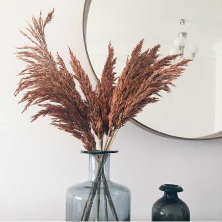 Kuru Çiçek Pampas 7 li Şoklanmış Büyük Demet 100cm (Kiremit Rengi) ·