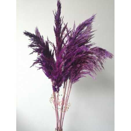 Pampas Otu 7'li Büyük Demet 100 cm (Mor)