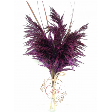 Pampas Otu 7'li Büyük Demet 100 cm (Mor)