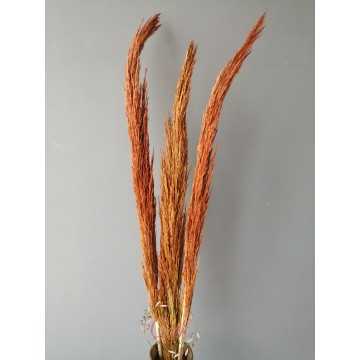 İthal Dökülmeyen Püskül Pampas 3'lü 150 cm (Turuncu)