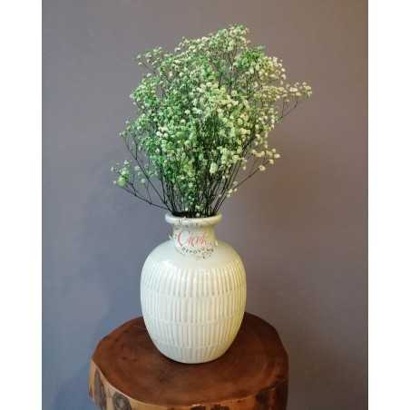 Şoklanmış Kuru Cipso Demeti (Yeşil)