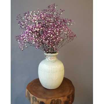 Şoklanmış Kuru Cipso Demeti (Mor) - 20201000201