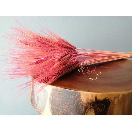 Doğal Kuru Başak Demeti (Pembe)