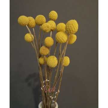 Sarı) - 20201000600