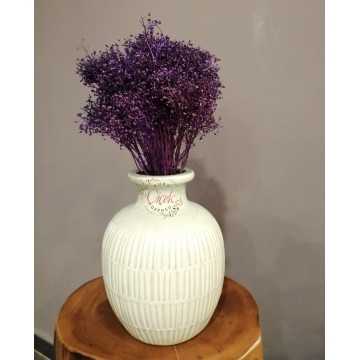 Kuru Cipso - Şoklanmış Cipso Otu (Mor) - 20201000700