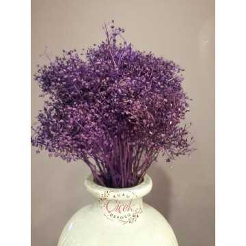 Kuru Cipso - Şoklanmış Cipso Otu (Mor)