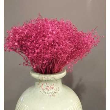 Kuru Cipso - Şoklanmış Cipso Otu (Pembe)