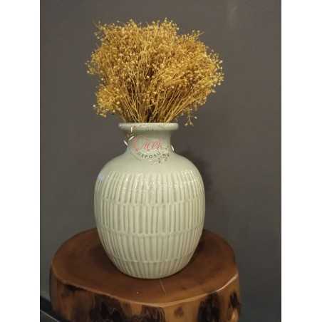 Kuru Cipso - Şoklanmış Cipso Otu (Sarı)