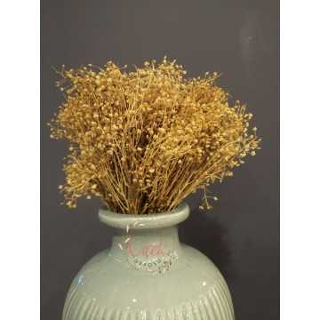 Kuru Cipso - Şoklanmış Cipso Otu (Sarı)