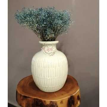 Kuru Cipso - Şoklanmış Cipso Otu (Mavi) - 20201000705