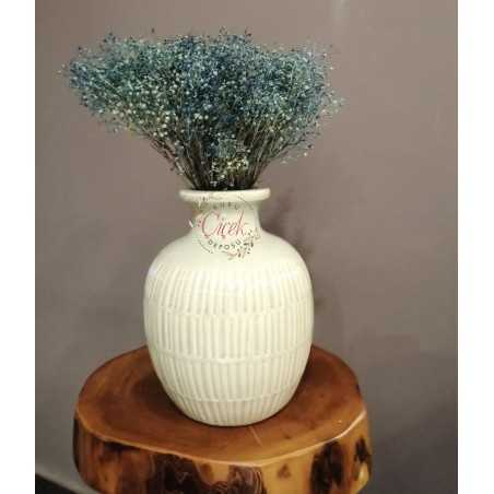 Kuru Cipso - Şoklanmış Cipso Otu (Mavi)