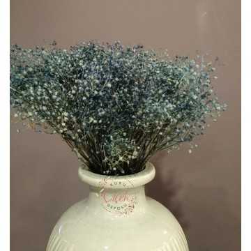 Kuru Cipso - Şoklanmış Cipso Otu (Mavi)