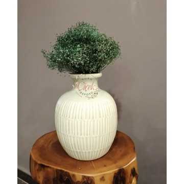 Kuru Cipso - Şoklanmış Cipso Otu (Yeşil) - 20201000706