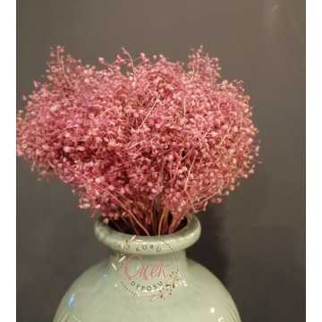 Kuru Cipso - Şoklanmış Cipso Otu (Açık Pembe)