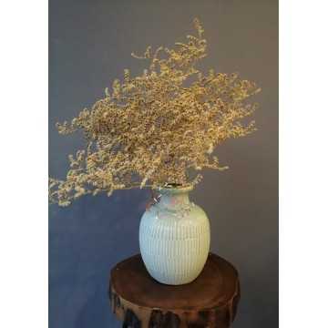 Deniz Otu - Tatarika Kuru Çiçek (Açık Sarı) - 20201000901