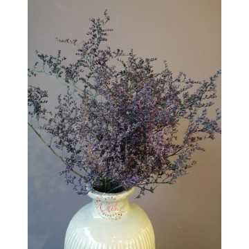 Deniz Otu - Tatarika Kuru Çiçek (Lacivert) Deniz Otu - Tatarika Kuru Çiçek (Lacivert)