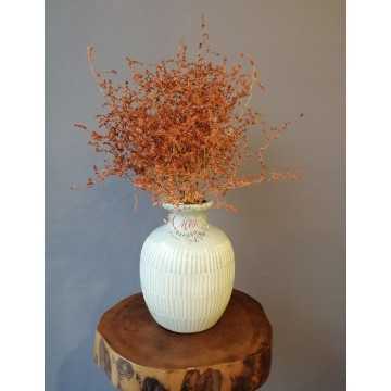 Deniz Otu - Tatarika Kuru Çiçek (Turuncu) - 20201000906