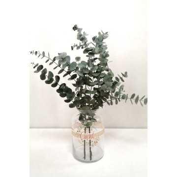 Okaliptus Demeti - Şoklanmış Küçük Okaliptus Kuru Çiçek (Yeşil) - 20420201264