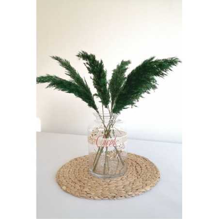 Pampas Otu 7'li Küçük Demet 50 cm (Yeşil)