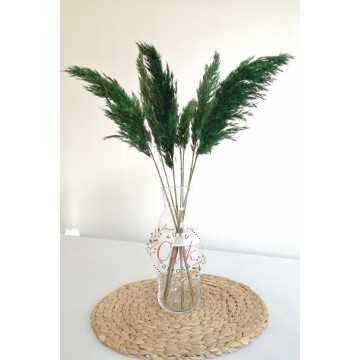 Pampas Otu 7'li Küçük Demet 50 cm (Yeşil)