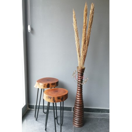 İthal Dökülmeyen Püskül Pampas 3'lü 120 cm (Natural)